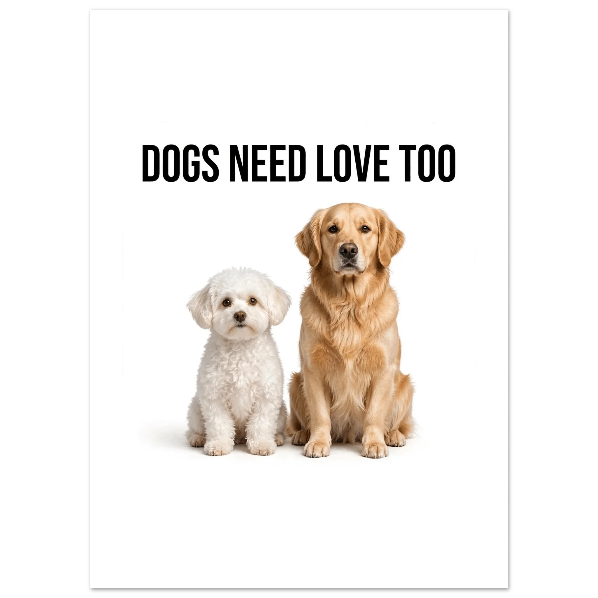 Premium Matte Paper Poster 13x18 cm / 5x7″