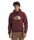 The North Face Men's Evolution Edge of Light Half Dome Hoodie